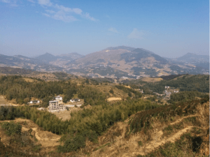 Charity Book Donating 6